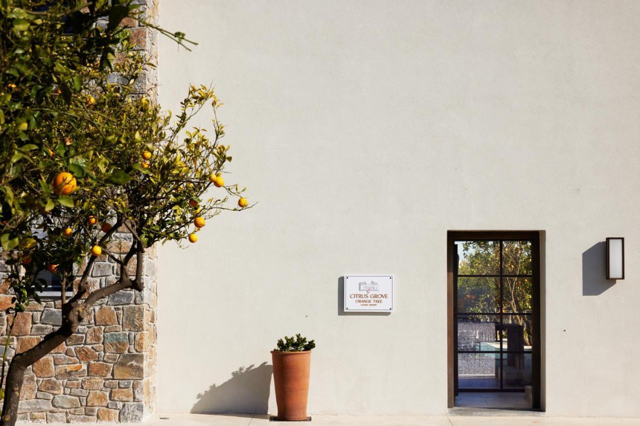 Citrus Grove Luxury Villas Skaleta Exterior foto